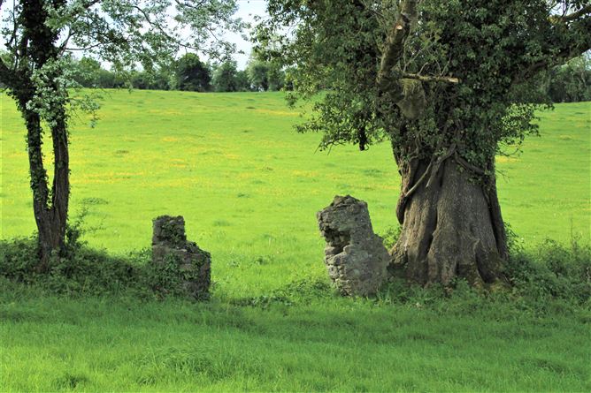 Kilclare Estate, Durrow, , Tullamore, Offaly