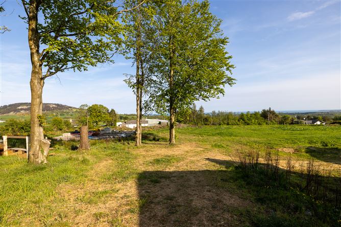 Photo 16 of 60 — Kilmurray, Gorey, Co. Wexford