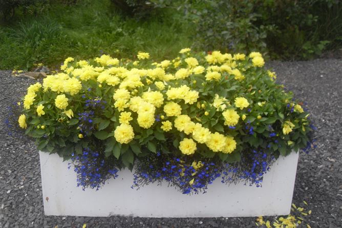 Cavan Country Cottage,Vacation Rental in Cavan, Ireland