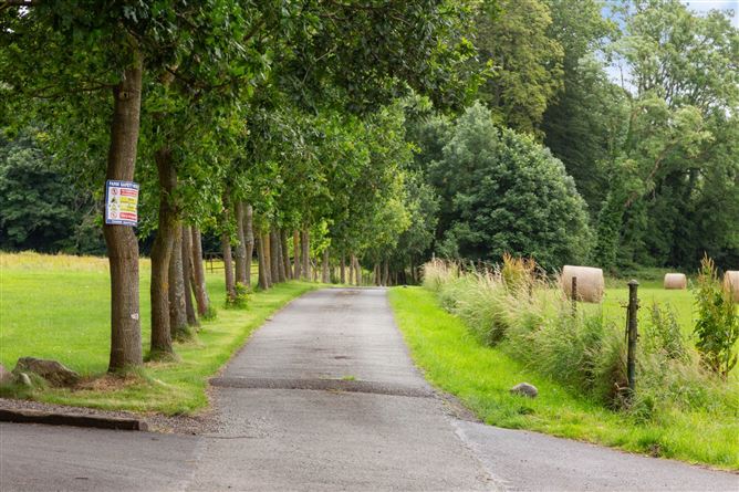 Beech Park House On 22.7 Acres, Clonsilla, Dublin 15, County Dublin