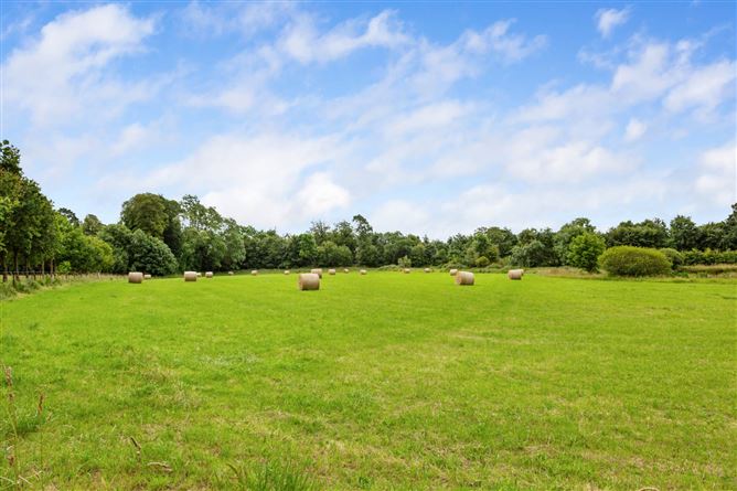 Beech Park House On 22.7 Acres, Clonsilla, Dublin 15, County Dublin