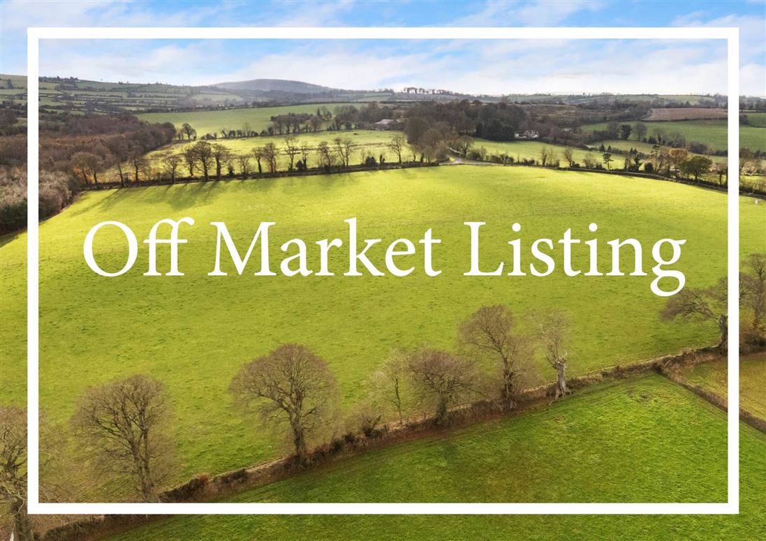 Georgian Property On Approx. 55 Acres, Athy, County Kildare