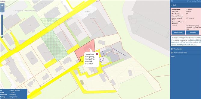 "Snowdrop", Kilnagleary, Carrigaline, Cork