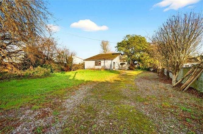 "Snowdrop", Kilnagleary, Carrigaline, Cork