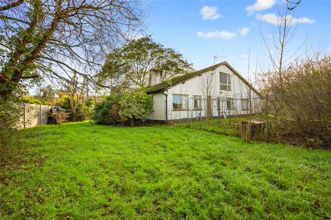 "Snowdrop", Kilnagleary, Carrigaline, Cork