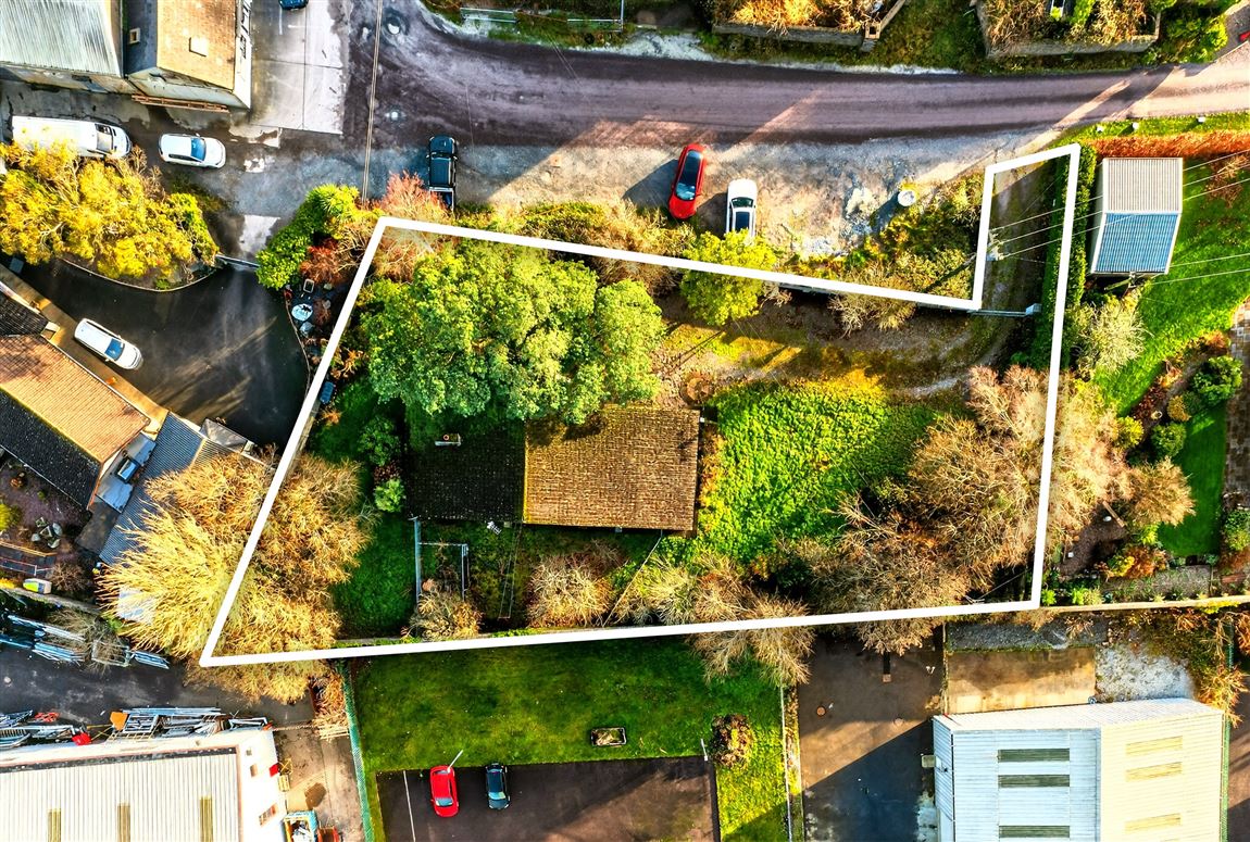 "Snowdrop", Kilnagleary, Carrigaline, Cork