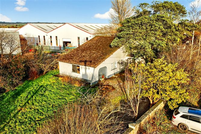 "Snowdrop", Kilnagleary, Carrigaline, Cork