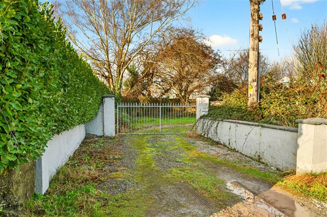 "Snowdrop", Kilnagleary, Carrigaline, Cork