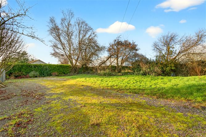 "Snowdrop", Kilnagleary, Carrigaline, Cork