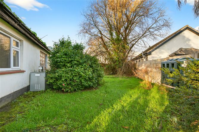 "Snowdrop", Kilnagleary, Carrigaline, Cork