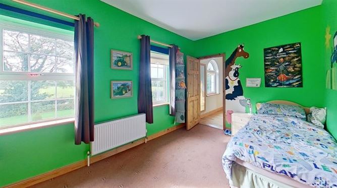 Derrymore, Mountrath, Co. Laois