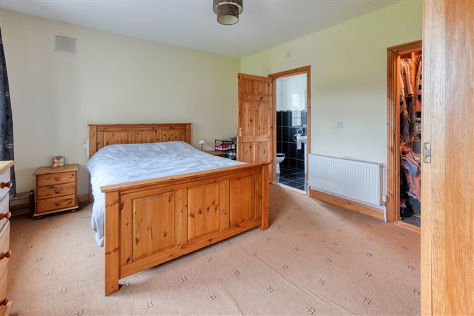 Derrymore, Mountrath, Co. Laois