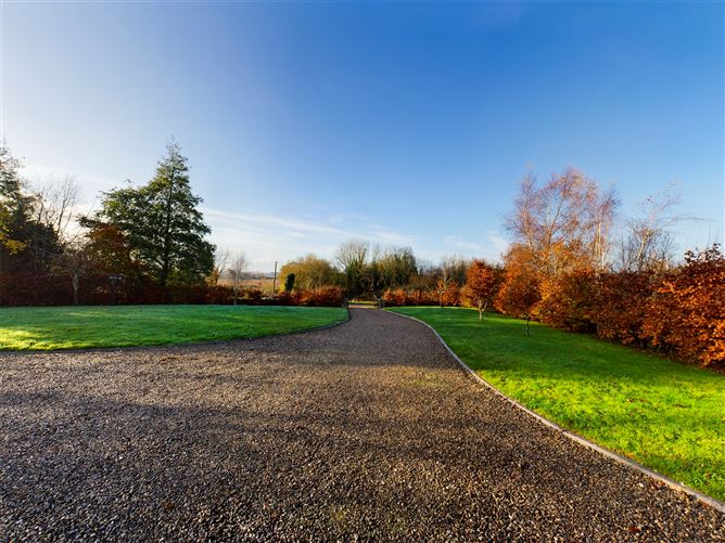 Clondorney, Tulla, Co. Clare