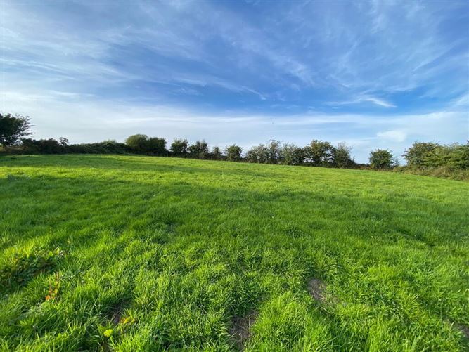 Garrynagree, Thurles, Ballingarry, Tipperary