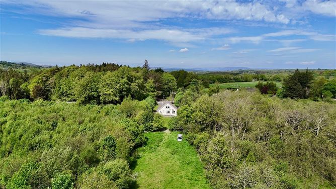 Ross Demesne, Rosscahill, Co. Galway