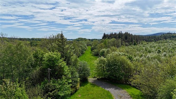 Ross Demesne, Rosscahill, Co. Galway