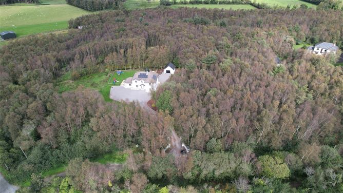 Leafy Hollow, Barnlands, Gorey, Co. Wexford