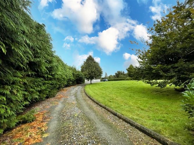 Ballyduff, Tobinstown, Tullow, Co. Carlow