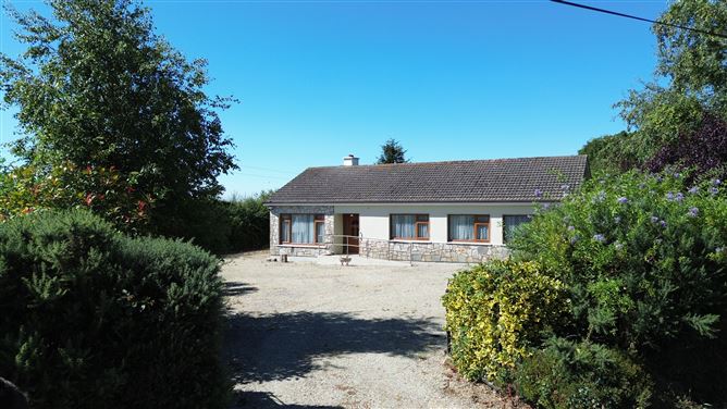 Ballyfin, Ballycanew, Wexford