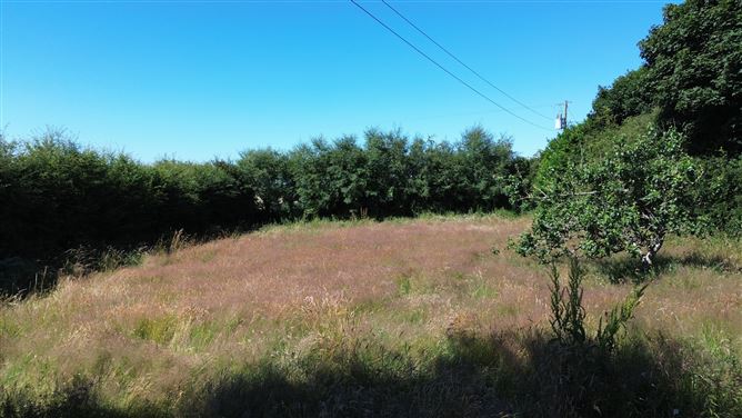Ballyfin, Ballycanew, Wexford
