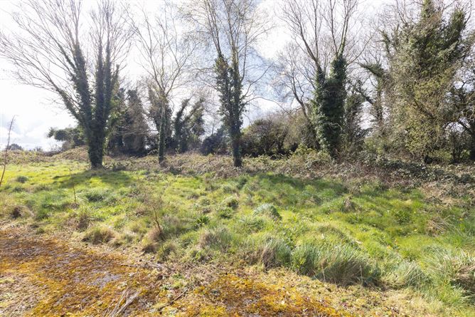 Kingston, Carnuff, Hayes, Navan, Co. Meath