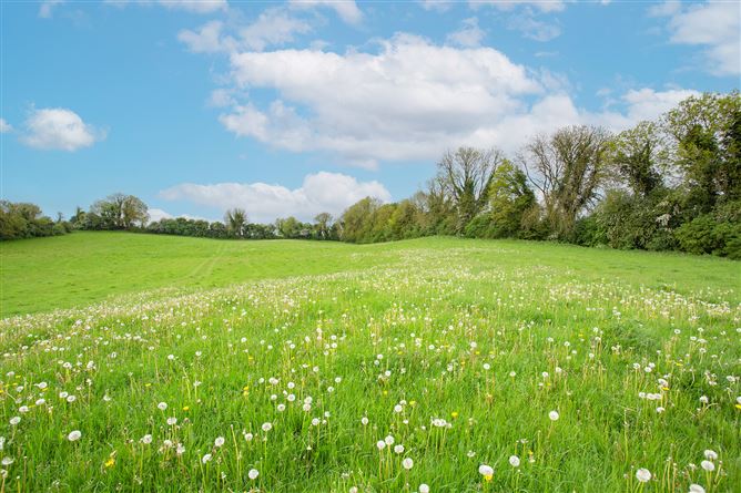 Ballynameagh, Castlepollard, Westmeath