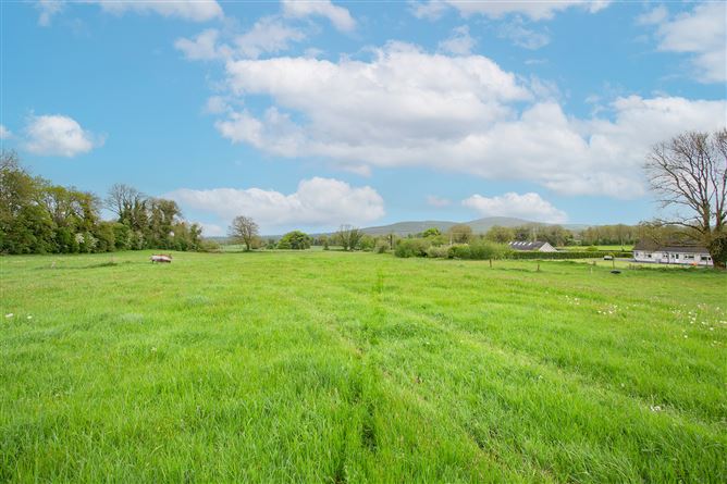 Ballynameagh, Castlepollard, Westmeath