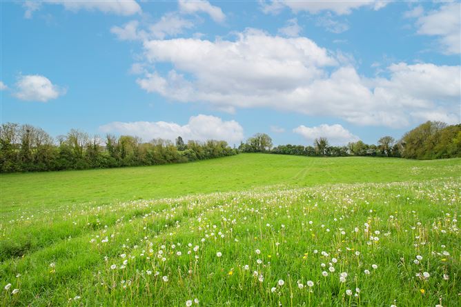 Ballynameagh, Castlepollard, Westmeath