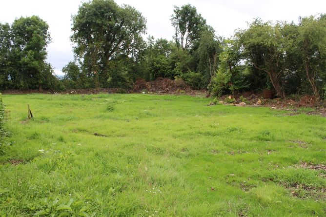 Bartoose, Emly, Tipperary
