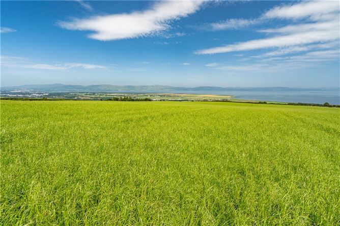 Land At Craigbrack Road, Eglinton, Co. Derry/Londonderry