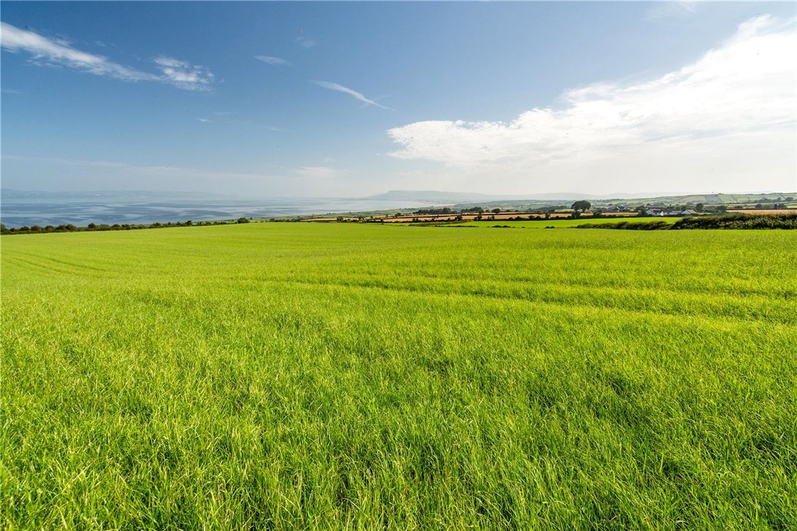 Land At Craigbrack Road, Eglinton, Co. Derry/Londonderry