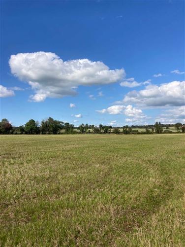 Ballymotey Beg (Site), Enniscorthy, County Wexford