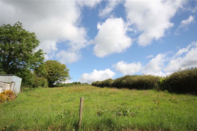 Mullagh Road, Ballaghanea, Virginia, Co.Cavan