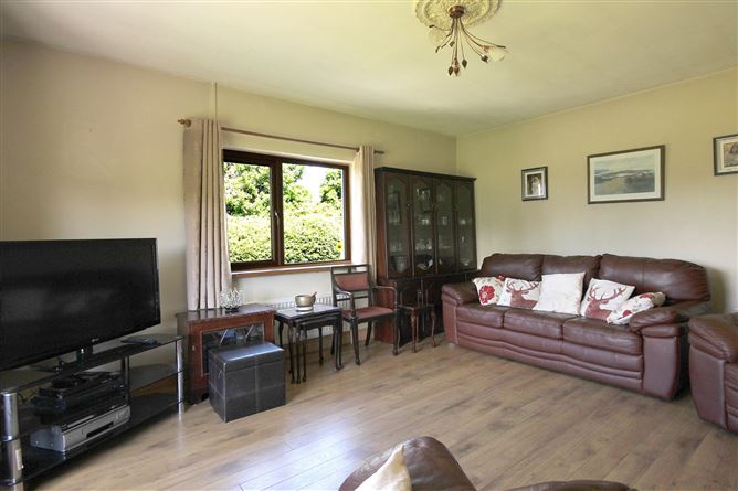 Mullagh Road, Ballaghanea, Virginia, Co.Cavan
