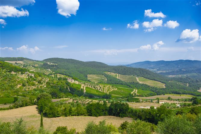 Chianti Crush,Lucolena,Tuscany,Italy