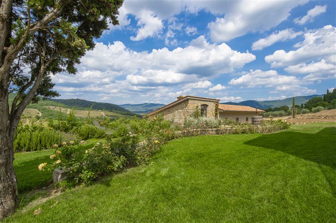 Chianti Crush,Lucolena,Tuscany,Italy