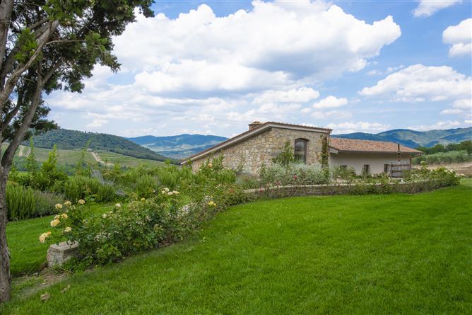 Chianti Crush,Lucolena,Tuscany,Italy