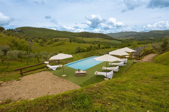 Chianti Crush,Lucolena,Tuscany,Italy