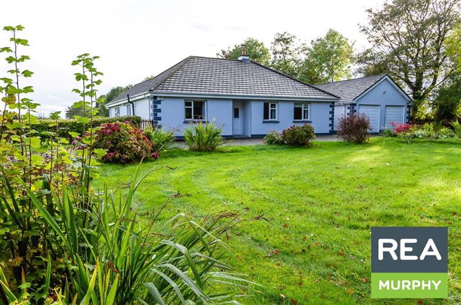 Windy Hollow, Holdenstown Upper, Baltinglass, Wicklow