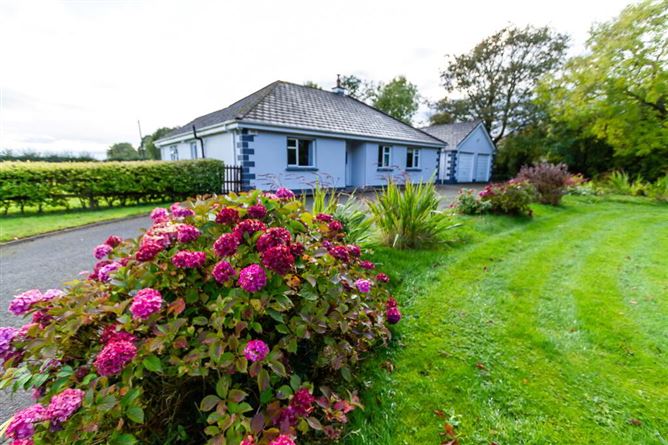 Windy Hollow, Holdenstown Upper, Baltinglass, Wicklow
