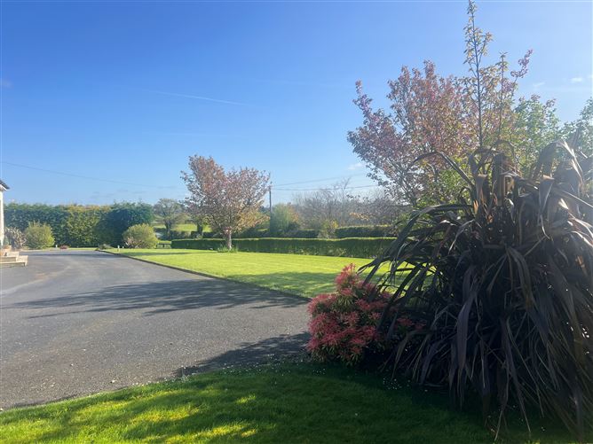 Ballylucas, Ballymurn, Wexford