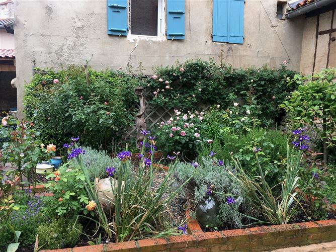Private, Rue de Tournefeuille, Aude, Belpech