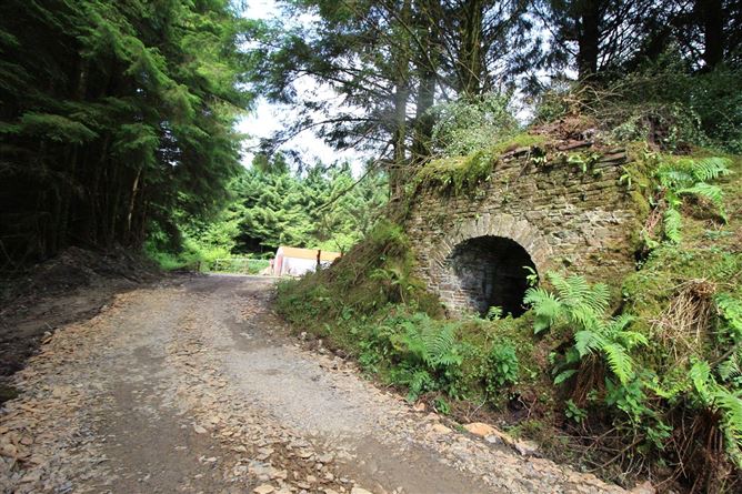 Glennamucklagh West, Newmarket, Co. Cork
