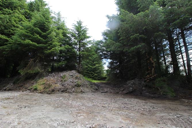 Glennamucklagh West, Newmarket, Co. Cork