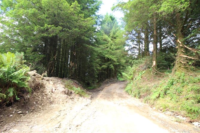 Glennamucklagh West, Newmarket, Co. Cork