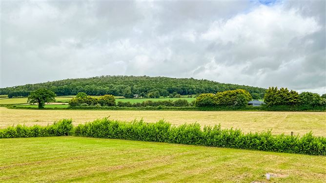https://photos-a.propertyimages.ie/media/0/8/3/5004380/ba7bab1f-8c9a-47ba-878e-3e6d1b74b809_l.jpg