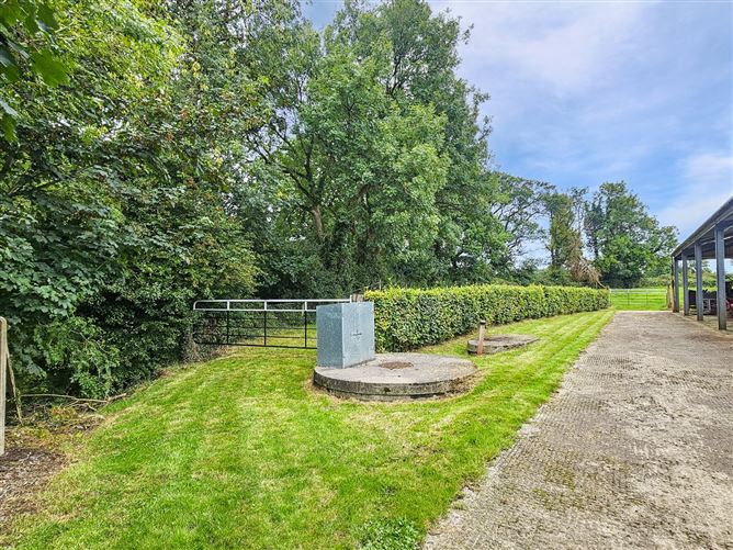 Ballycrighaun Stud, Moyreisk, Quin, Co. Clare