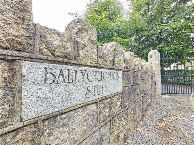 Ballycrighaun Stud, Moyreisk, Quin, Co. Clare