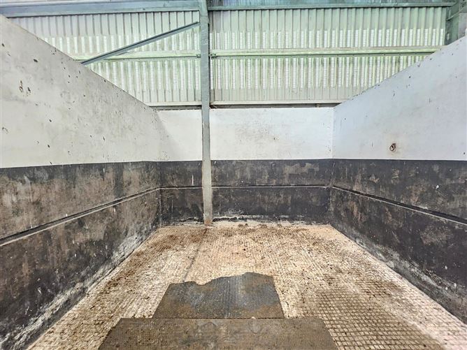 Ballycrighaun Stud, Moyreisk, Quin, Co. Clare