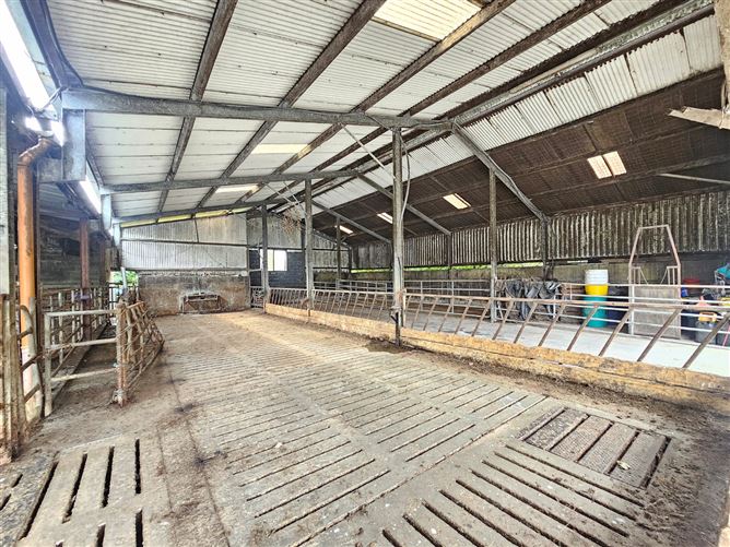 Ballycrighaun Stud, Moyreisk, Quin, Co. Clare